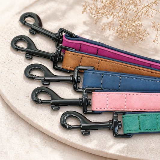 Premium Leather Dog Leash