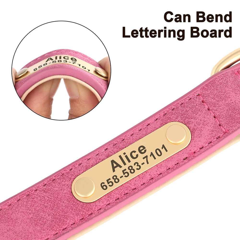 Personalized Dog Collar