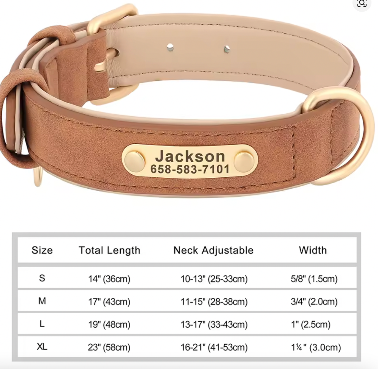 Personalized Dog Collar
