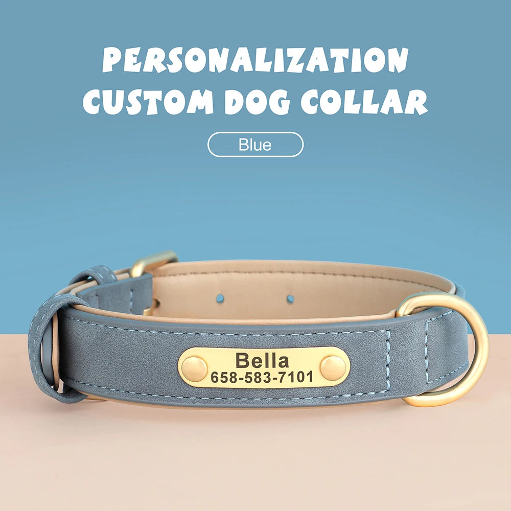 Personalized Dog Collar