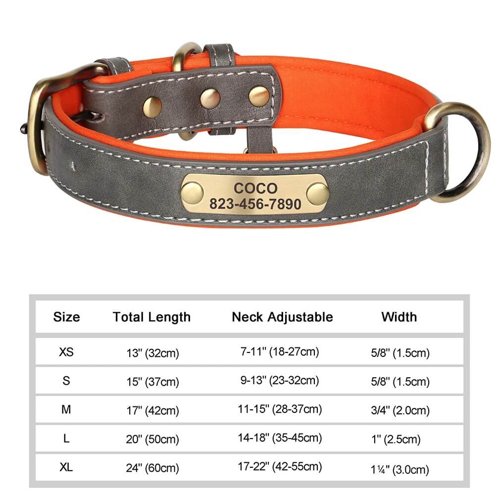 Personalized Dog Collar
