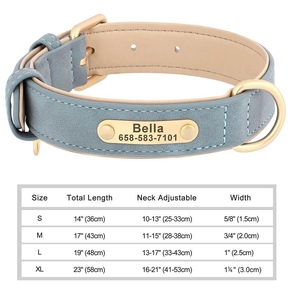 Personalized Dog Collar